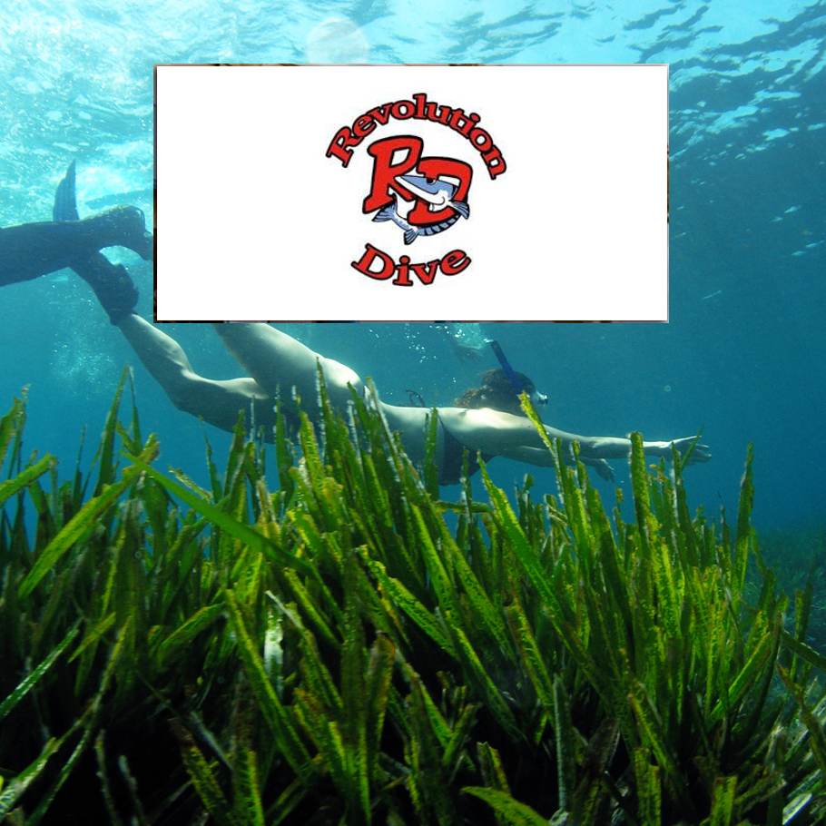 Revolution Diving