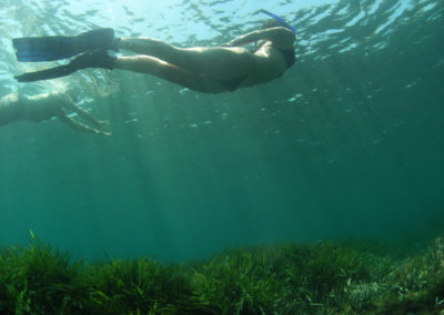 Buceando entre posidonia