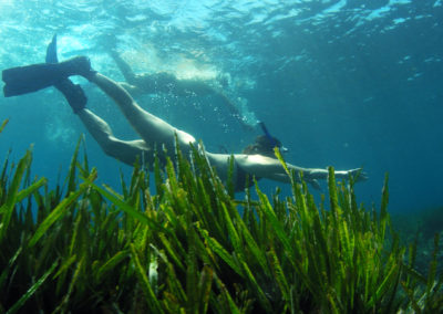Buceando entre posidonia