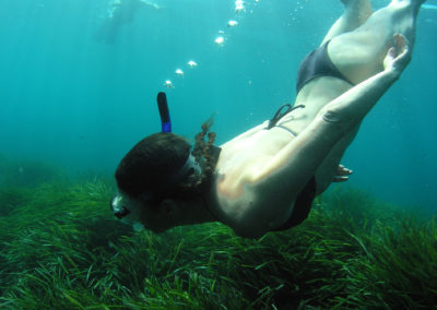 Buceando entre posidonia
